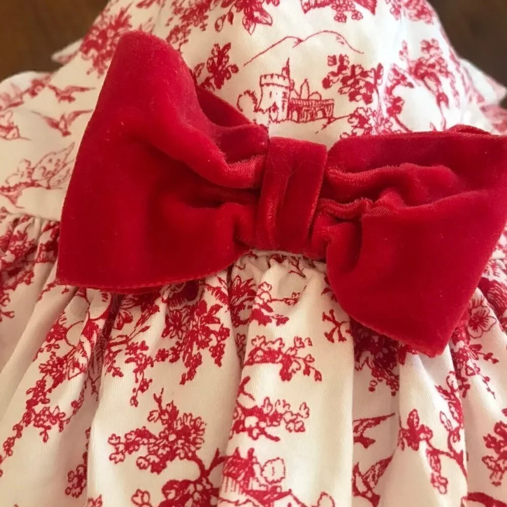 Janie and Jack toile print Dress sz 3-6 mos